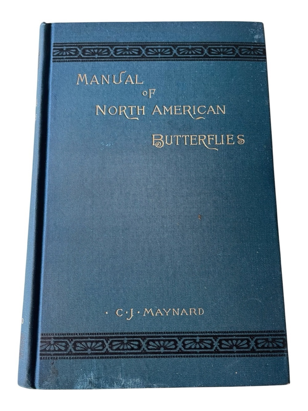 First Edition 1891 "Manual of North American Butterflies" C.J. Maynard Woodcuts
